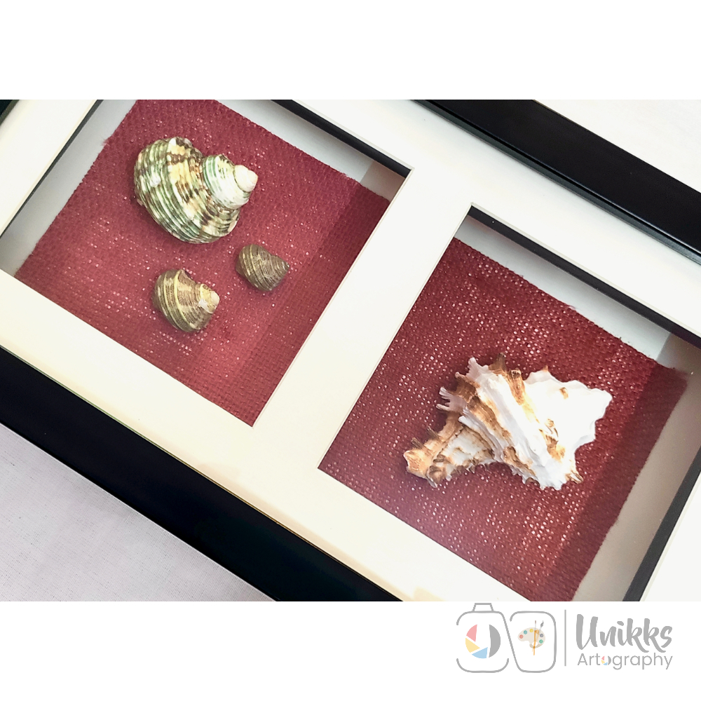 2 Unikk Shells