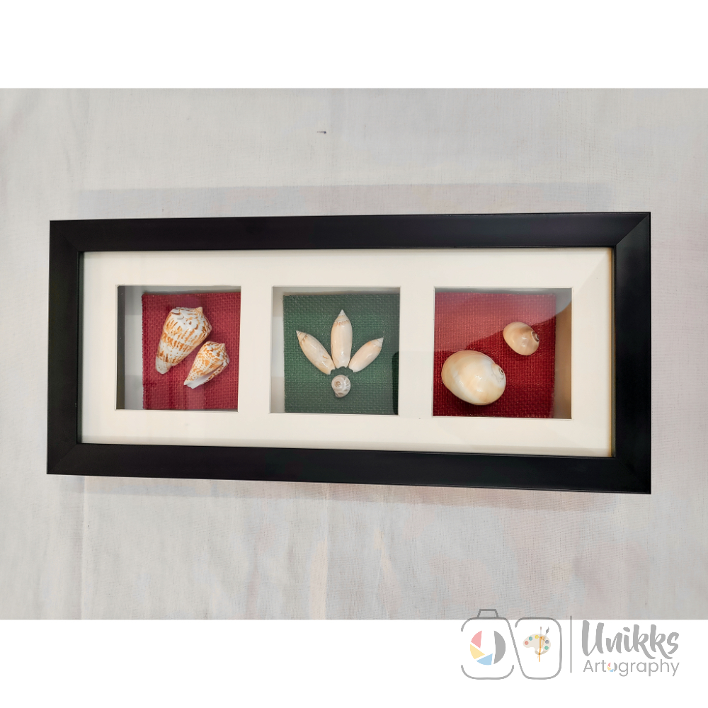 3 Unikk Shells