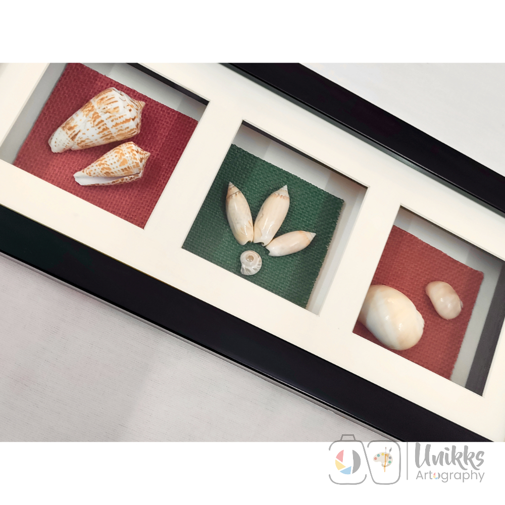 3 Unikk Shells - Image 2
