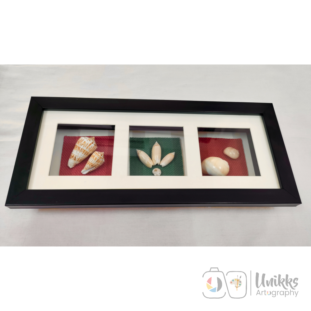 3 Unikk Shells - Image 3