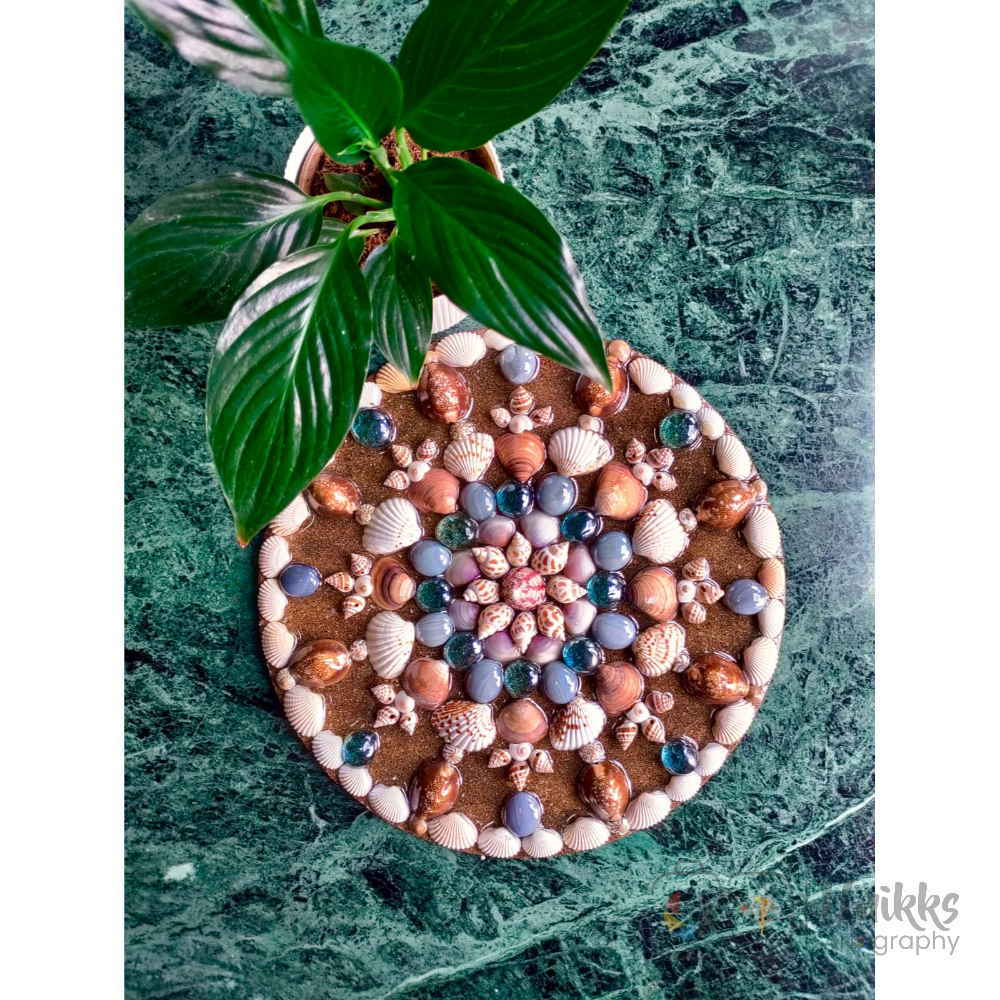Circle Full Of Shells & Marbles 2.0