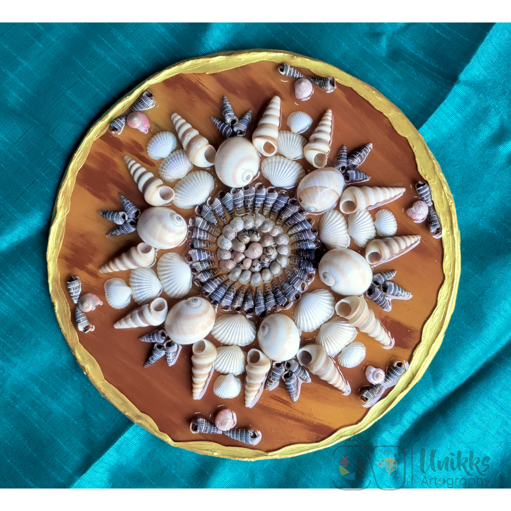 6 Directions Shell